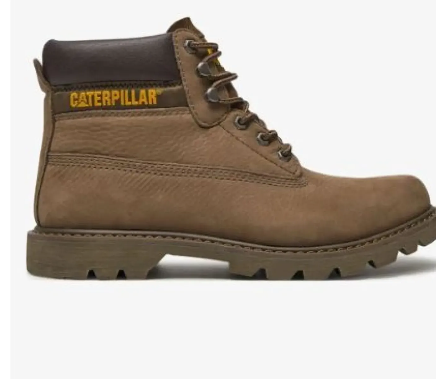 ANFIBI COLORADO 2.0 FOSSIL