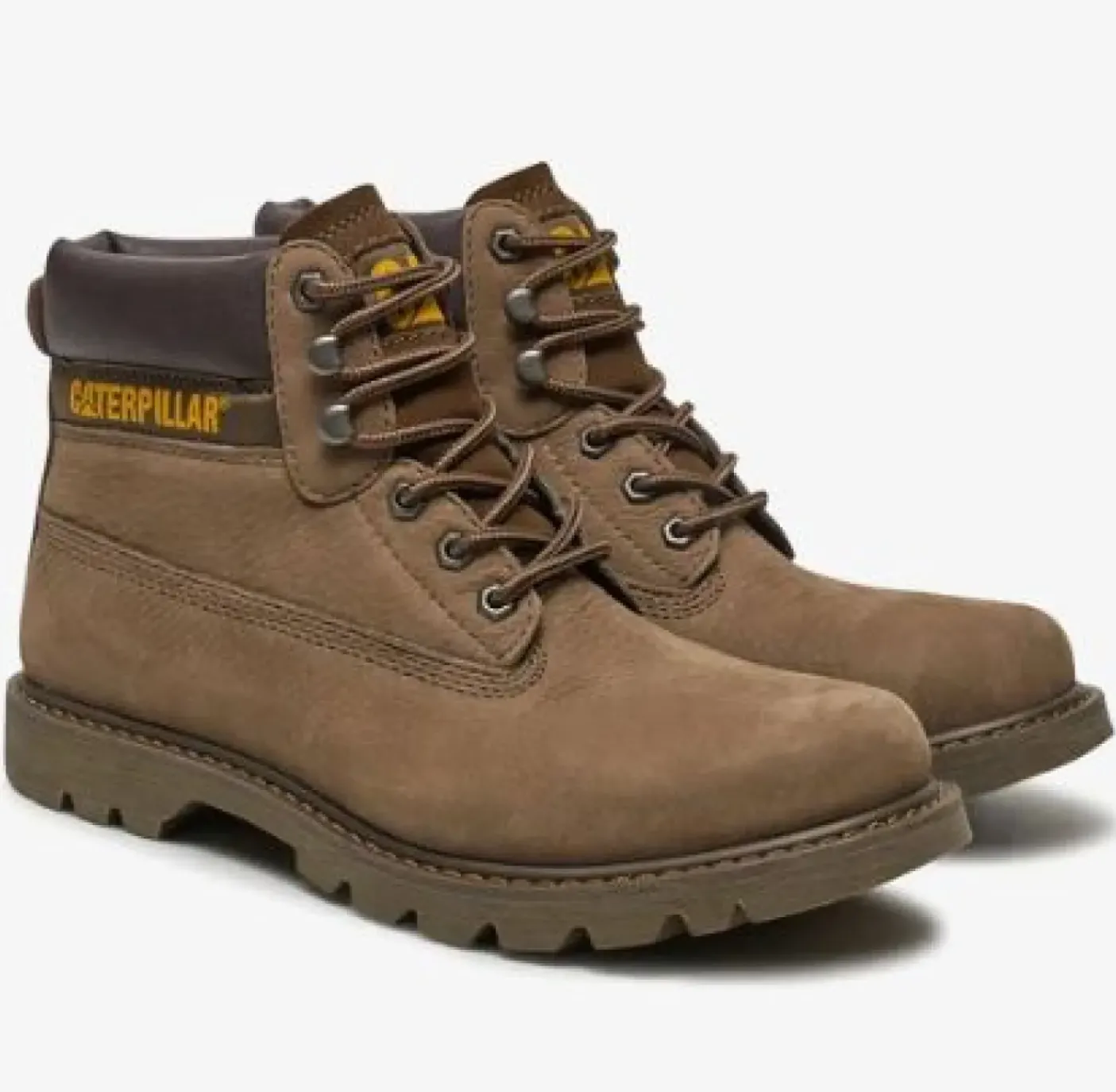 ANFIBI COLORADO 2.0 FOSSIL