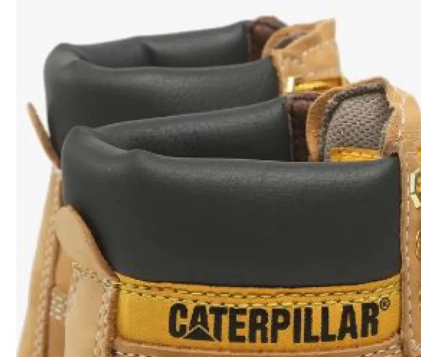 ANFIBI COLORADO 2.0 MIELE