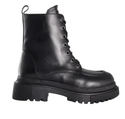 ANFIBI PROFILI DETTAGLIO